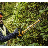 Кущоріз акумуляторний щітковий зі штангою DeWALT DCMPH566P1