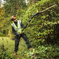 Кущоріз акумуляторний щітковий зі штангою DeWALT DCMPH566P1